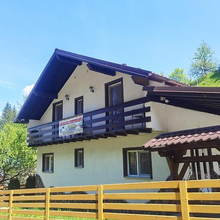 Casa Pietrosu Rodnei Hotel Borşa Екстериор снимка