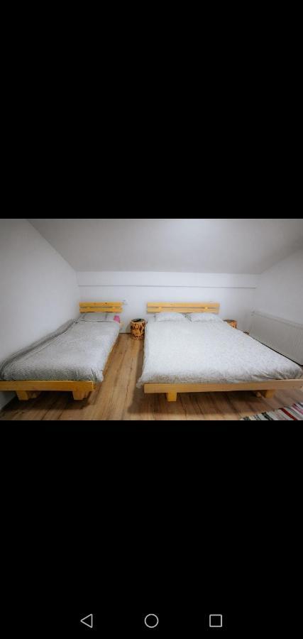 Casa Pietrosu Rodnei Hotel Borşa Екстериор снимка