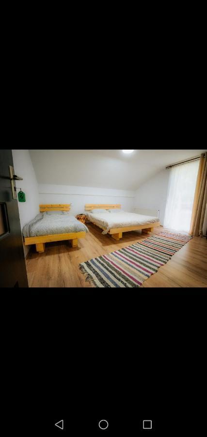 Casa Pietrosu Rodnei Hotel Borşa Екстериор снимка