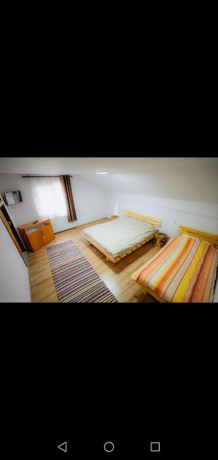 Casa Pietrosu Rodnei Hotel Borşa Екстериор снимка