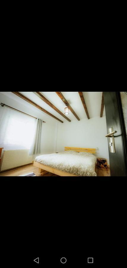 Casa Pietrosu Rodnei Hotel Borşa Екстериор снимка
