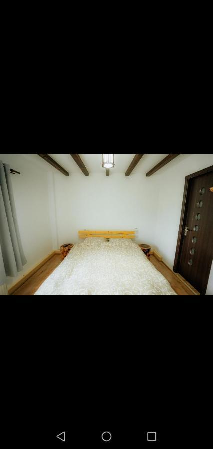 Casa Pietrosu Rodnei Hotel Borşa Екстериор снимка