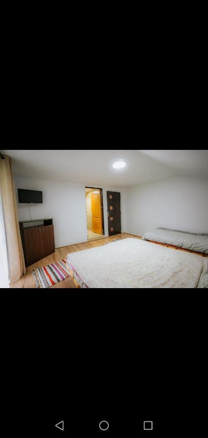 Casa Pietrosu Rodnei Hotel Borşa Екстериор снимка