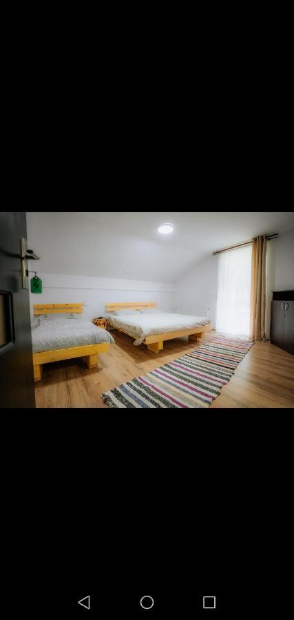 Casa Pietrosu Rodnei Hotel Borşa Екстериор снимка