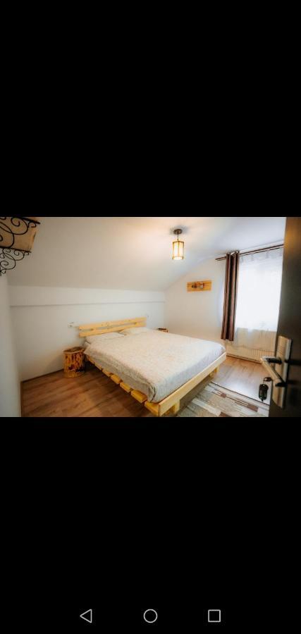 Casa Pietrosu Rodnei Hotel Borşa Екстериор снимка