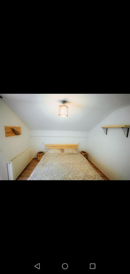Casa Pietrosu Rodnei Hotel Borşa Екстериор снимка