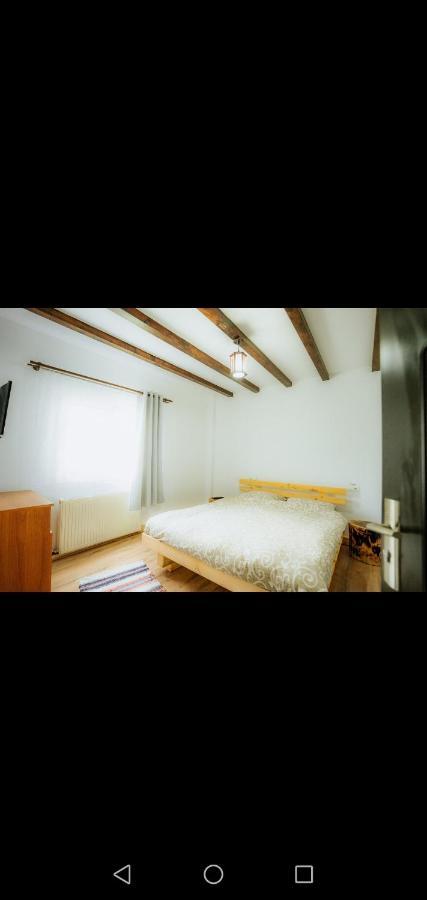 Casa Pietrosu Rodnei Hotel Borşa Екстериор снимка