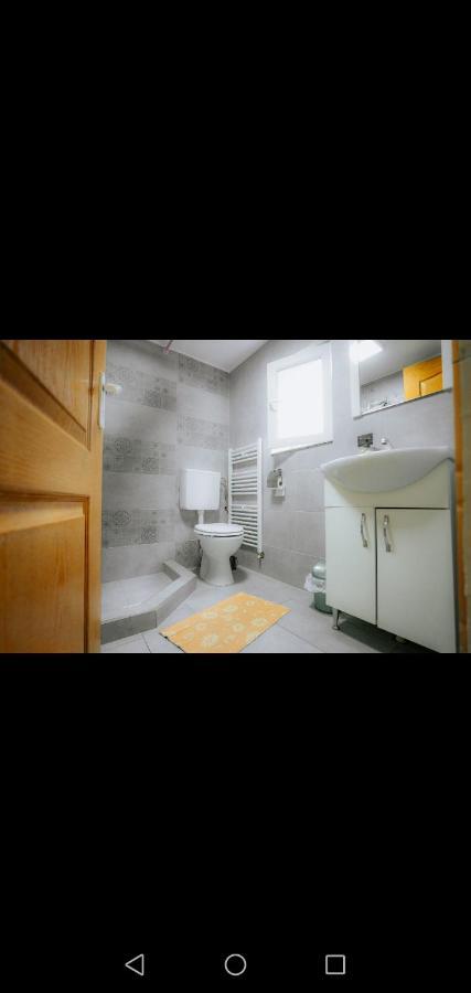 Casa Pietrosu Rodnei Hotel Borşa Екстериор снимка