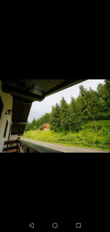 Casa Pietrosu Rodnei Hotel Borşa Екстериор снимка
