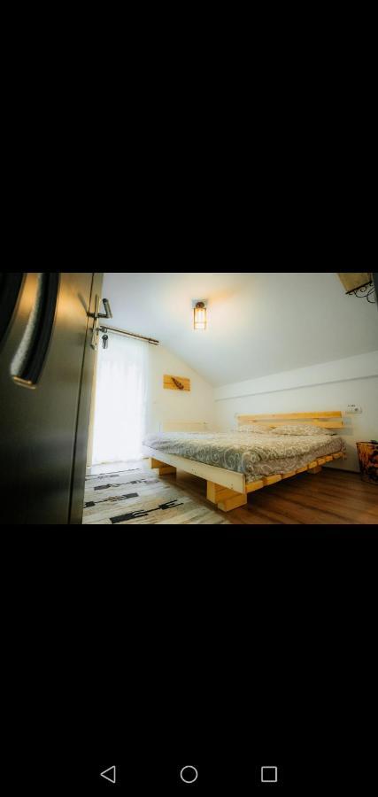 Casa Pietrosu Rodnei Hotel Borşa Екстериор снимка