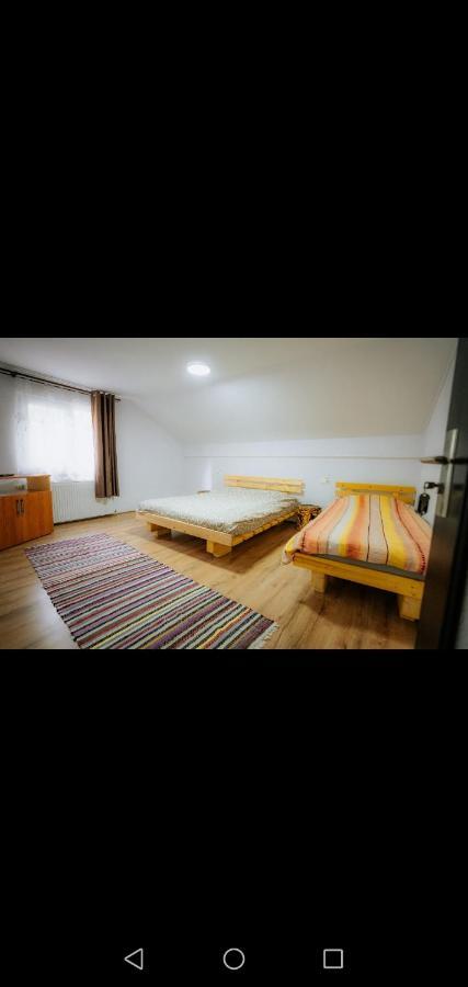 Casa Pietrosu Rodnei Hotel Borşa Екстериор снимка