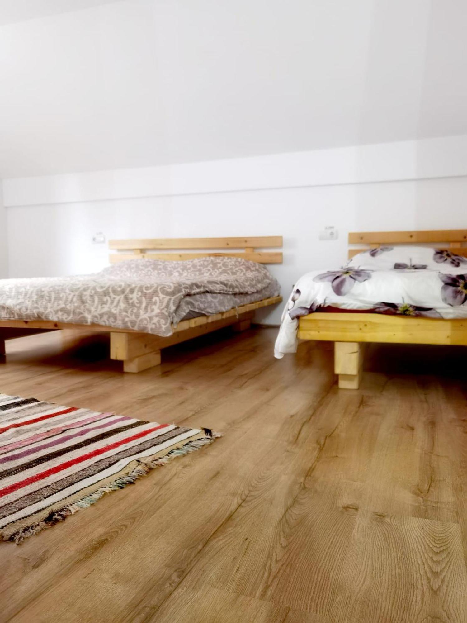 Casa Pietrosu Rodnei Hotel Borşa Екстериор снимка