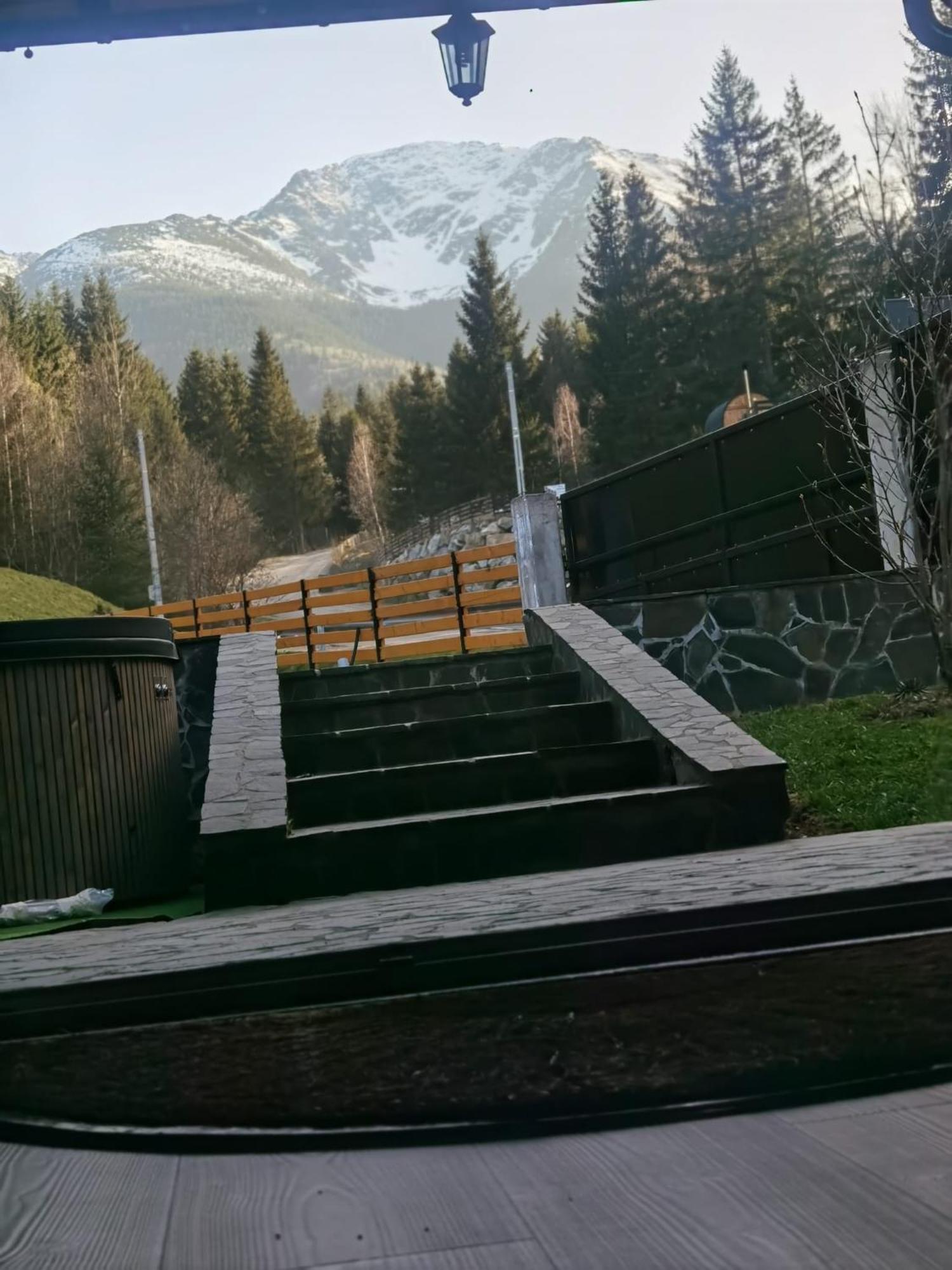 Casa Pietrosu Rodnei Hotel Borşa Екстериор снимка