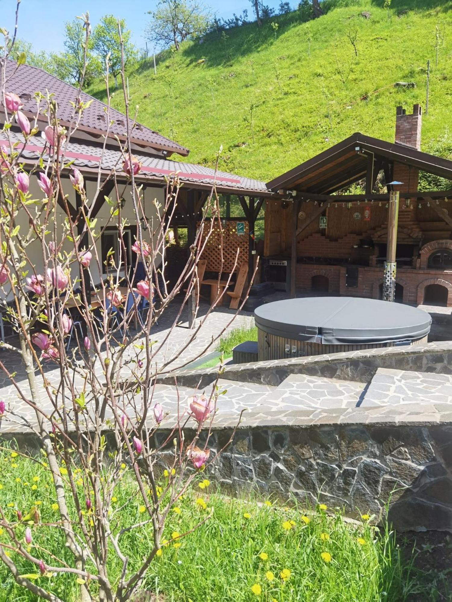 Casa Pietrosu Rodnei Hotel Borşa Екстериор снимка
